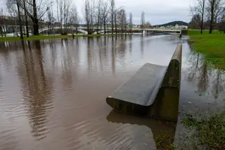 Depressão Kristin: homem morre após queda de árvore, Proteção Civil pede a habitantes de Leiria que fiquem em casa