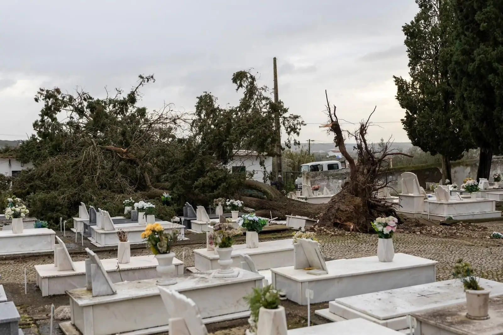Registadas 2.050 ocorrências esta quinta-feira devido à depressão Kristin
