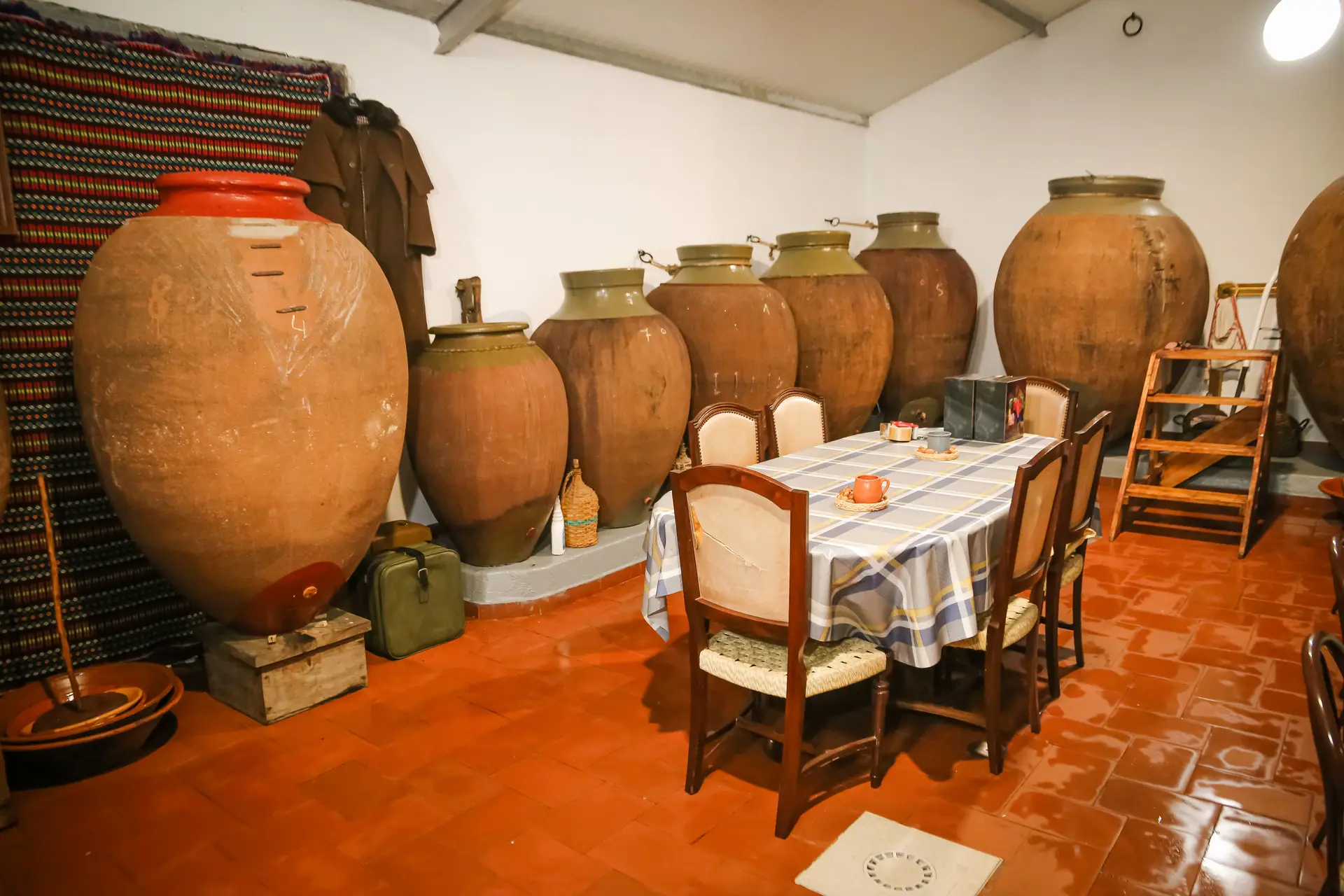 Cidade Europeia do Vinho: Beja inaugura iniciativa que distingue o Baixo Alentejo