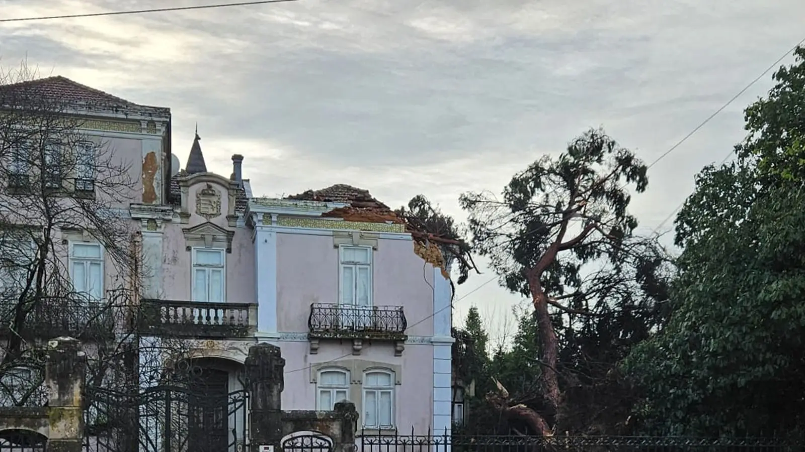 Casa de José Cid foi atingida por pinheiro durante a tempestade