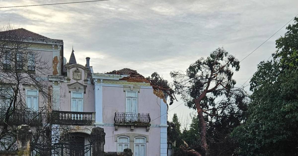José Cid's home struck by a large pine tree during the storm