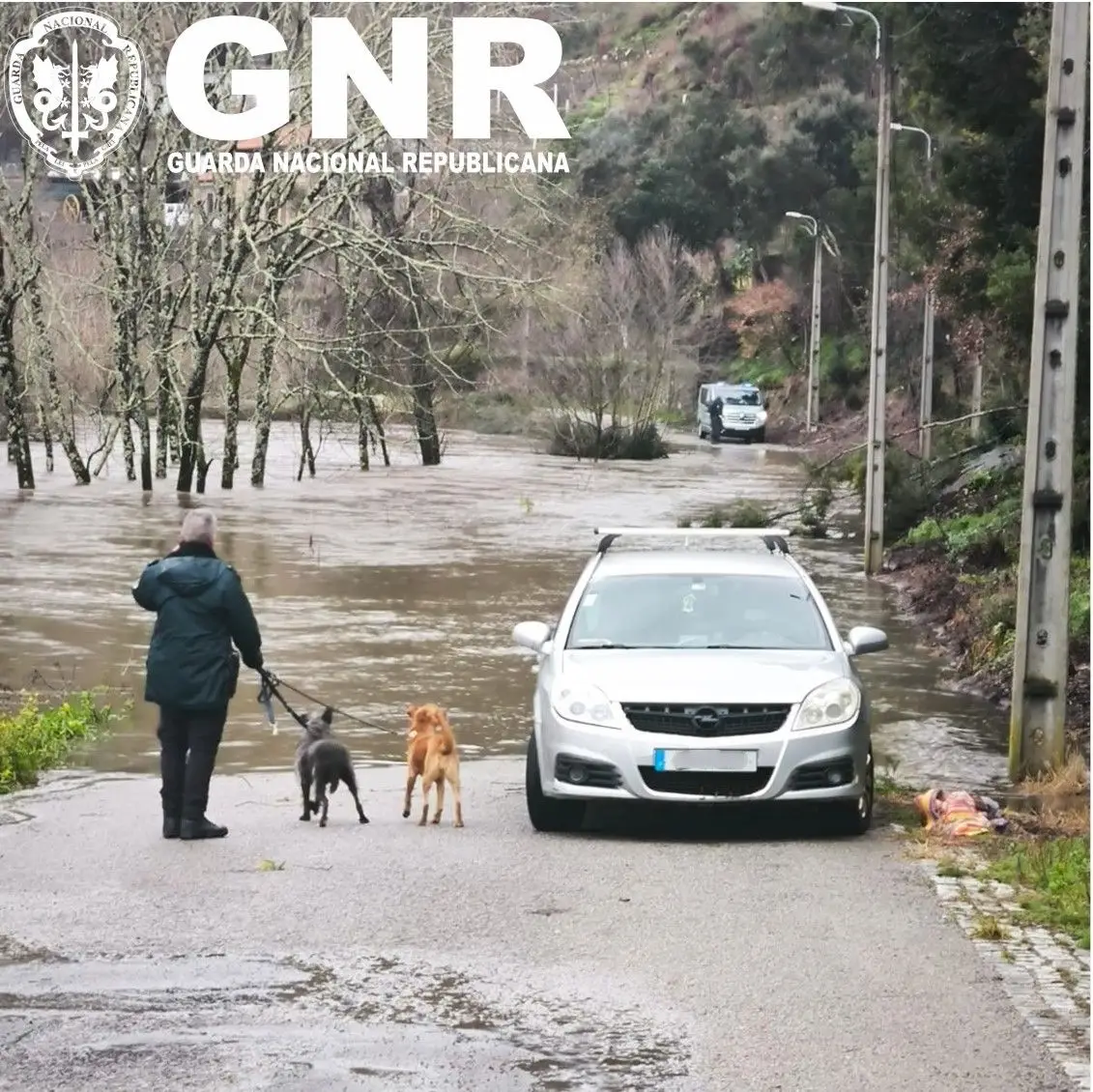 Ameaça iminente de inundação leva GNR a resgatar 25 cães em Gondomar 