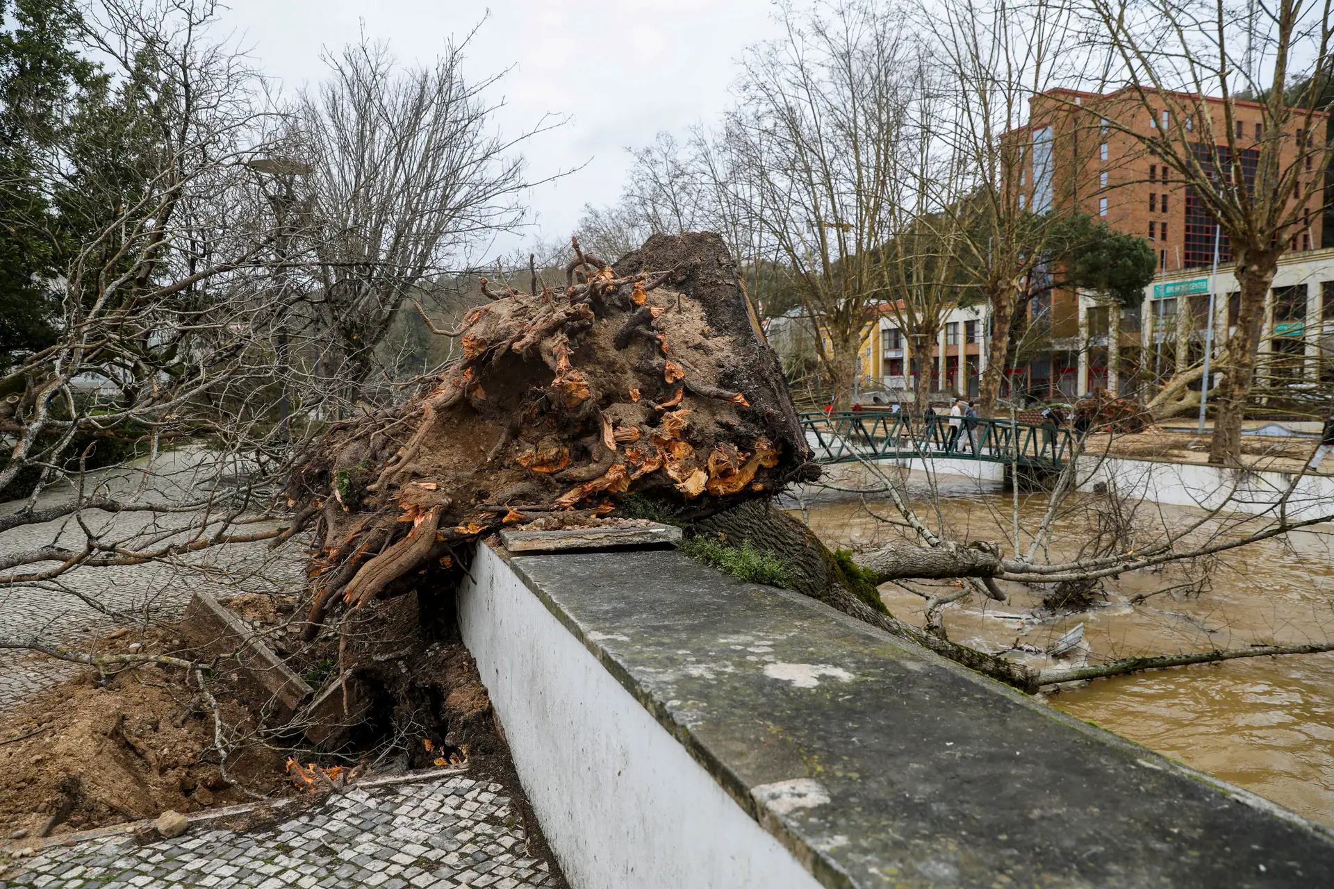 Registadas mais de 8.000 ocorrências devido à depressão Kristin