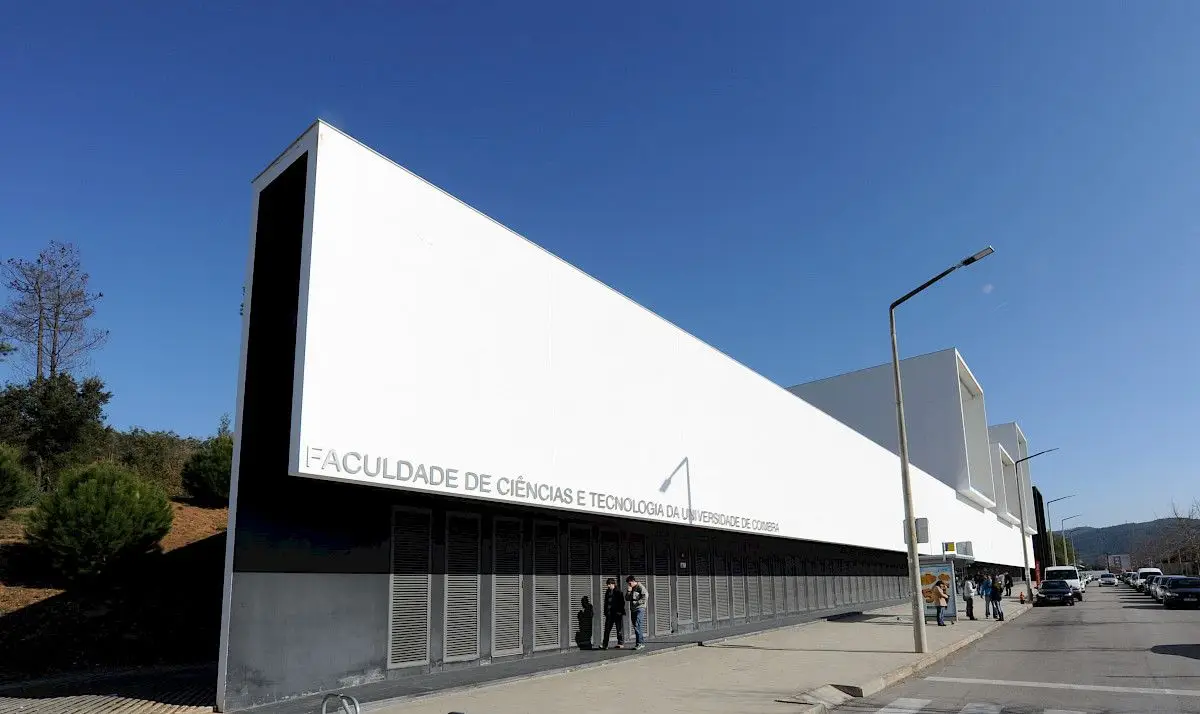 Investigadores de Coimbra descobrem planta com flor fossilizada com 87 milhões de anos