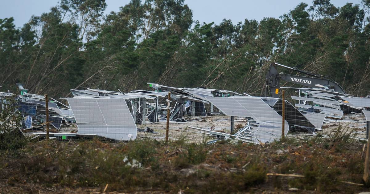 Marinha Grande em limpeza urgente para prevenir incêndios após passagem da tempestade Kristin