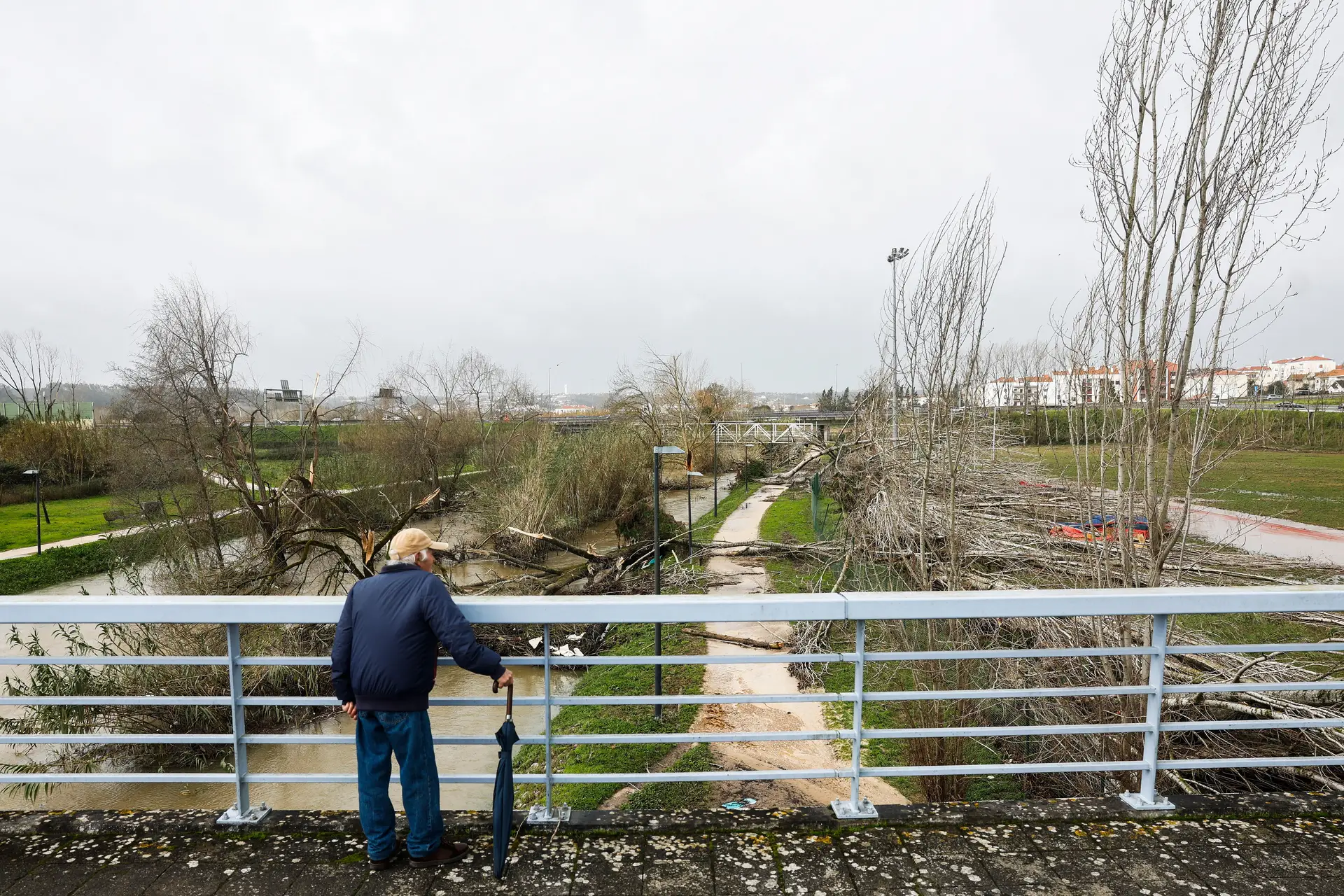 Da chuva intensa às ondas de calor: Portugal tem se preparar para fenómenos extremos e devia ter "refúgios climáticos"
