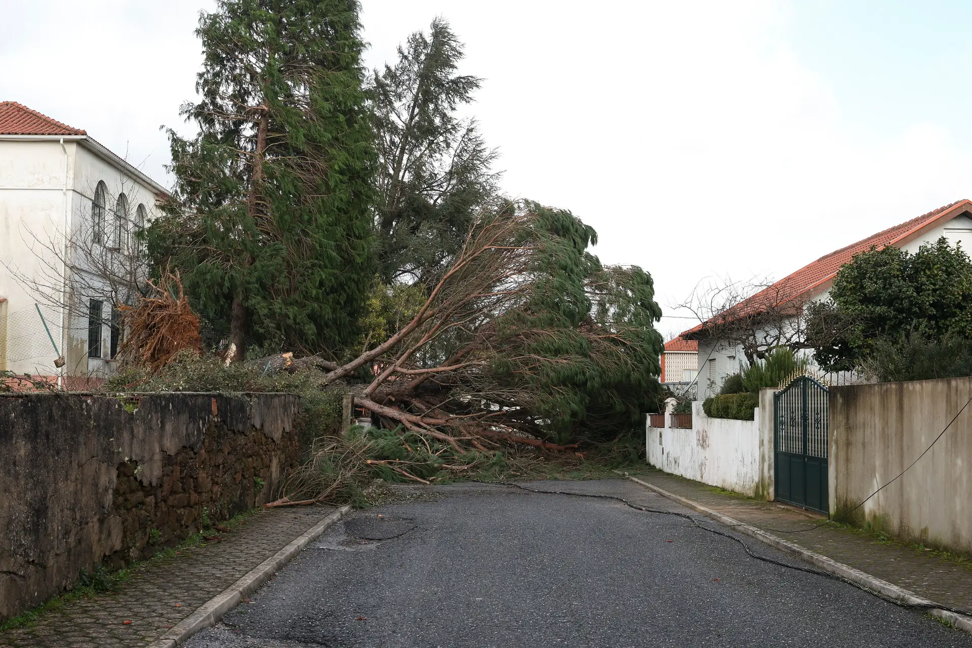 Mau tempo em Cernache do Bonjardim, Castelo Branco