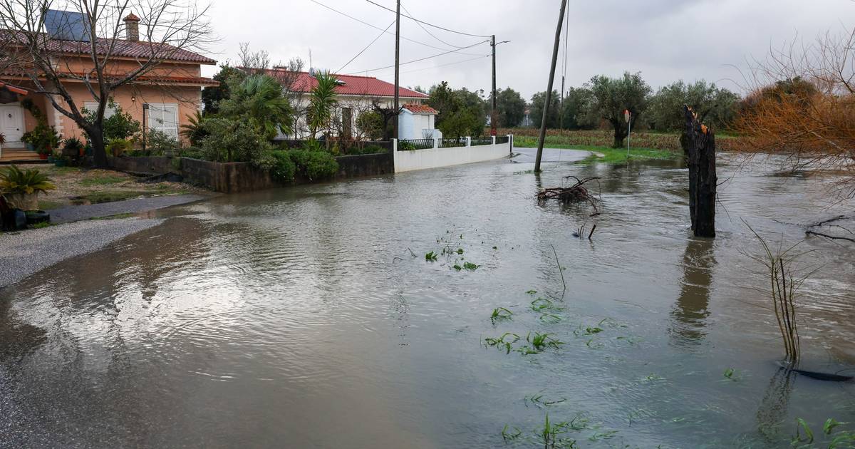 Casas evacuadas e risco de diques colapsarem: autoridades atentas à situação em Coimbra