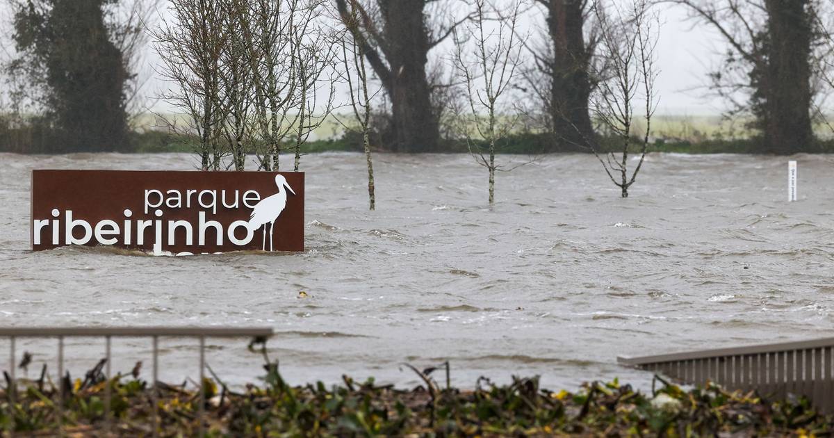 Rutura no Mondego submerge campos e estradas e mantém Montemor‑o‑Velho em alerta máximo