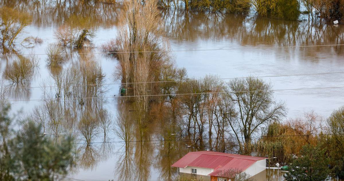 Tempestades sucessivas são "sinal claro" de novo "normal climático", WWF pede mais prevenção