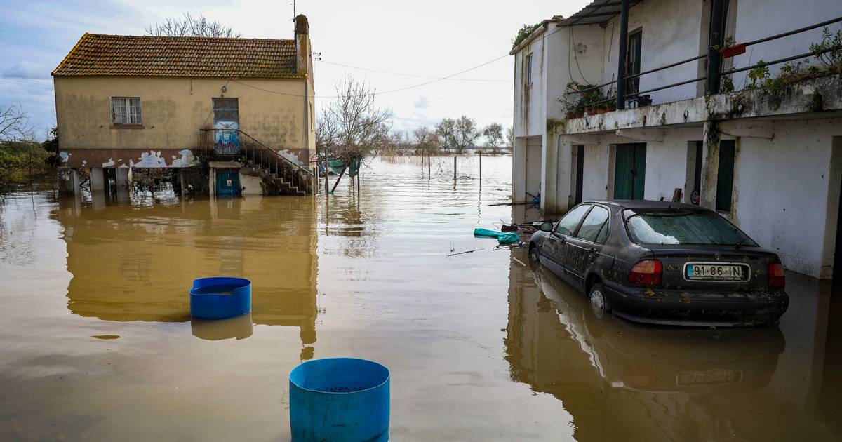 Lixo eletrónico vai ser recolhido porta a porta nos concelhos afetados pelas tempestades