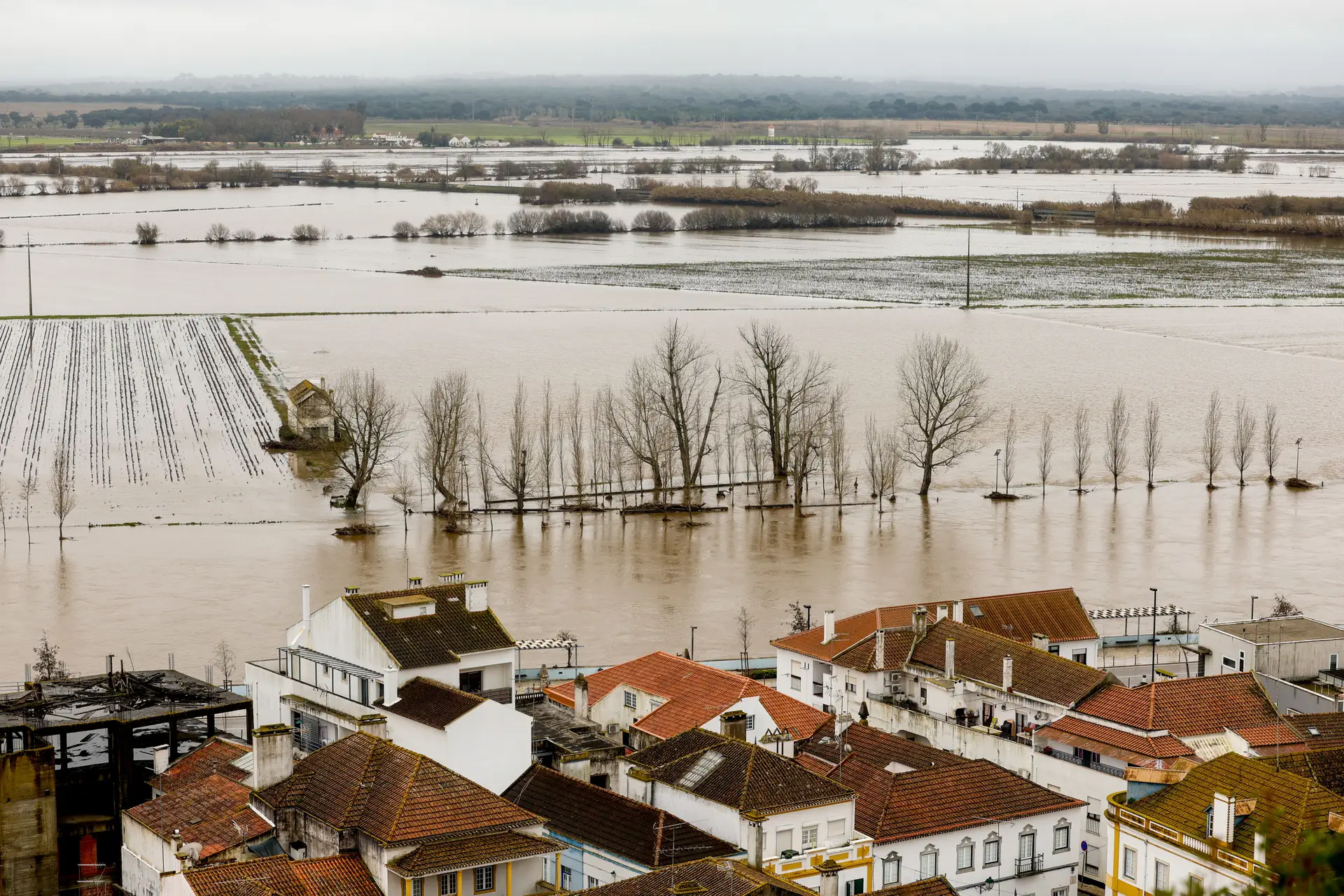 Carta aberta pede apoio das grandes empresas às populações afetadas pelas tempestades