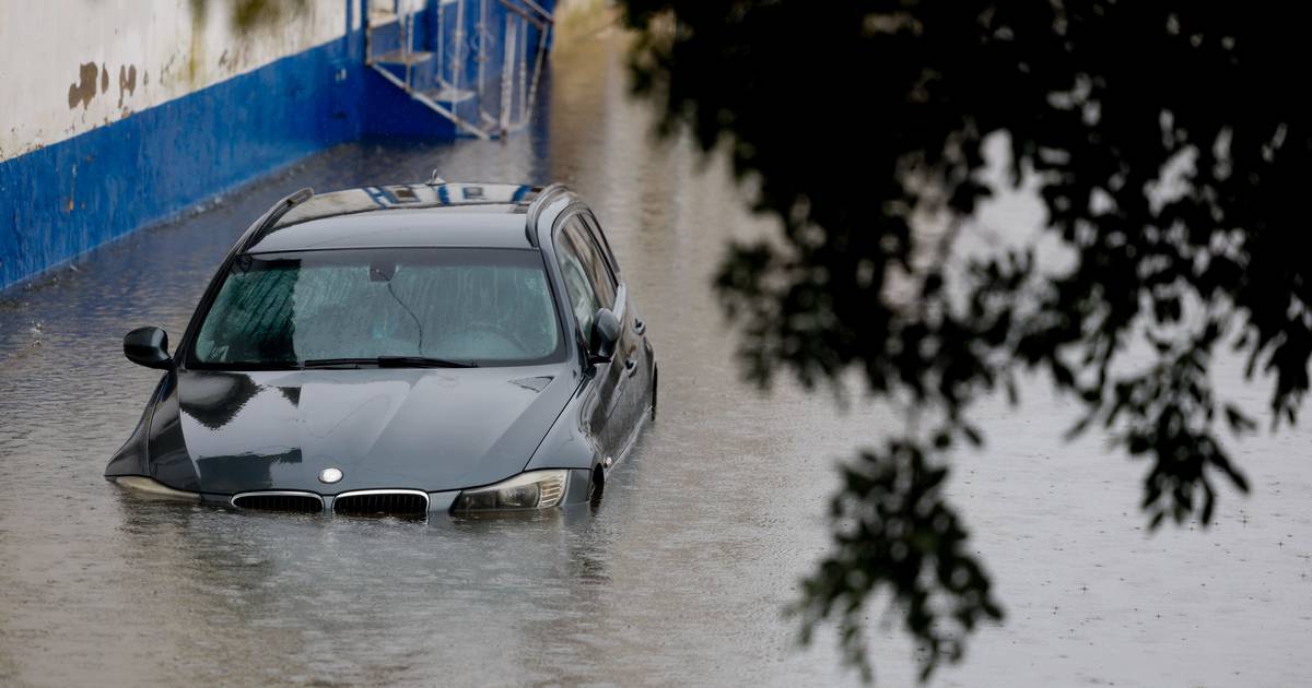 Em Salvaterra de Mago, o nível da água baixou mas estragos são devastadores