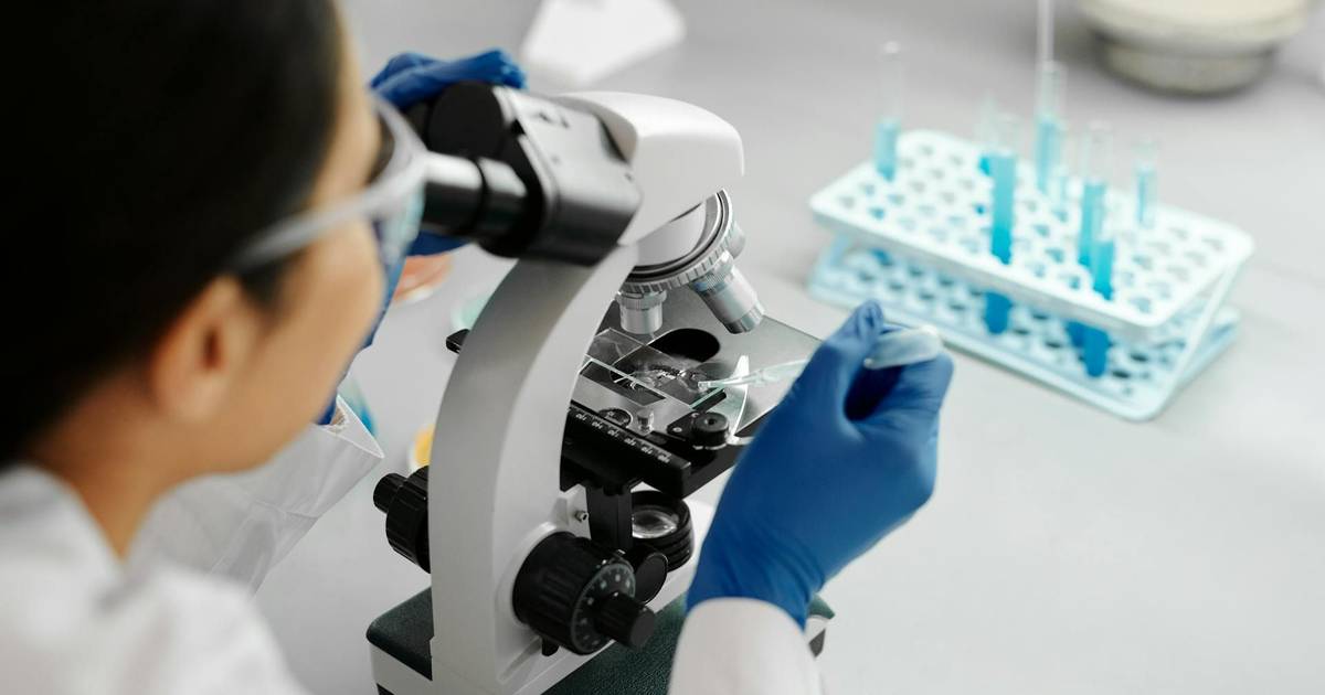 Novo teste ao sangue pode ajudar a detetar mais cedo o cancro do pâncreas