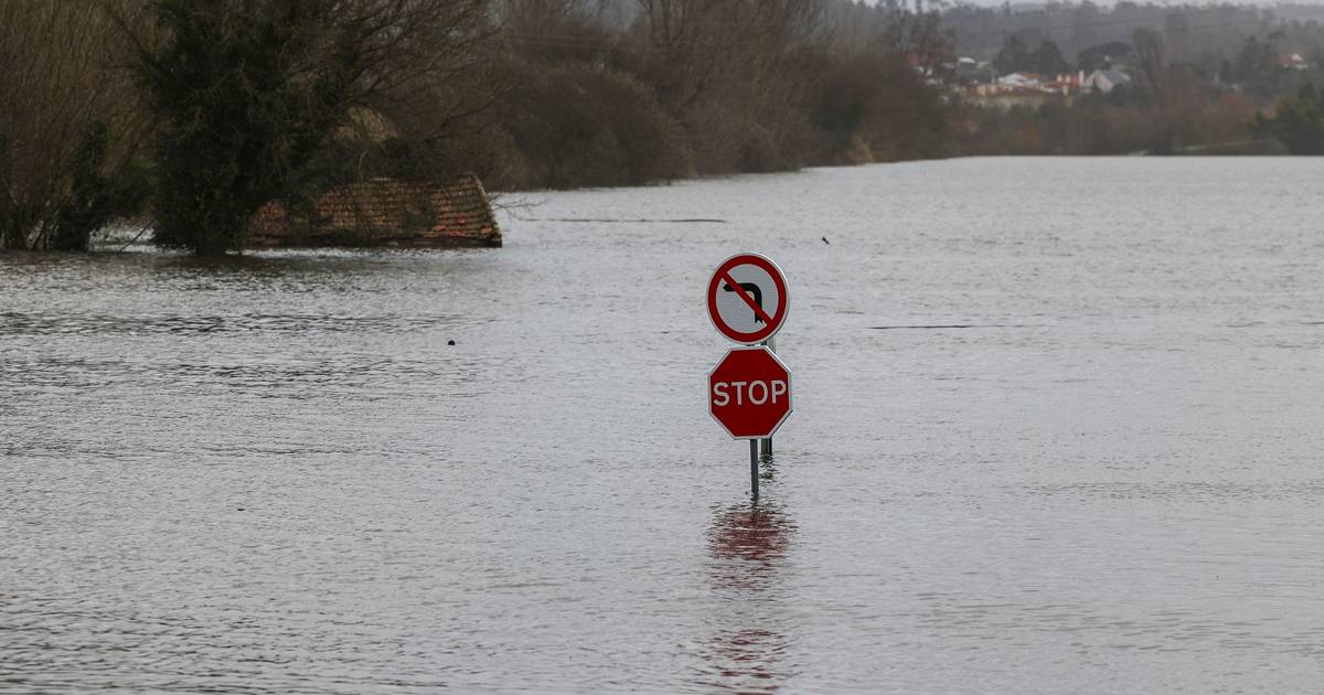 Colapso de troço da A1: trabalhos de reparação deverão demorar semanas