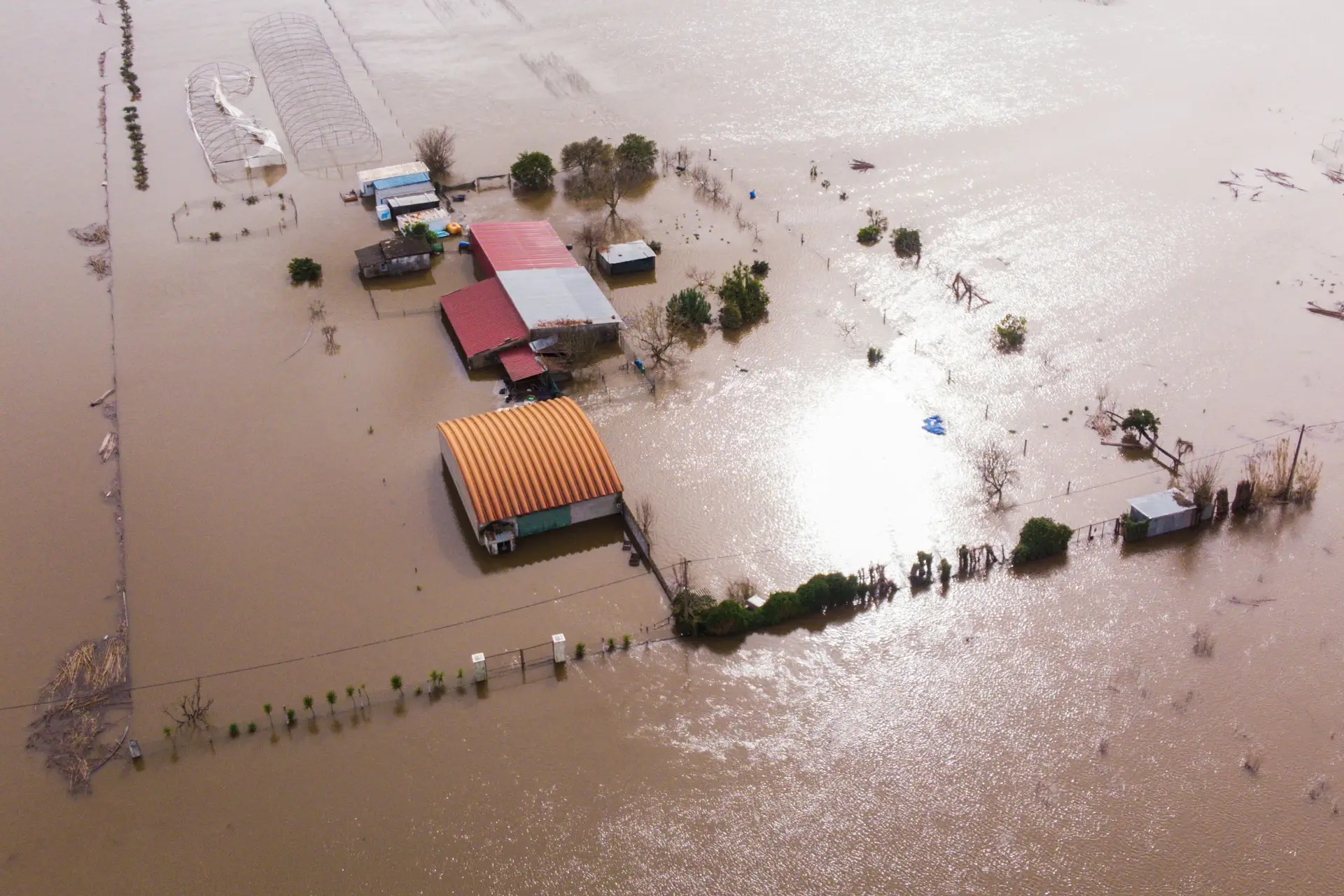 Prejuízos na agricultura podem vir a atingir os mil milhões de euros