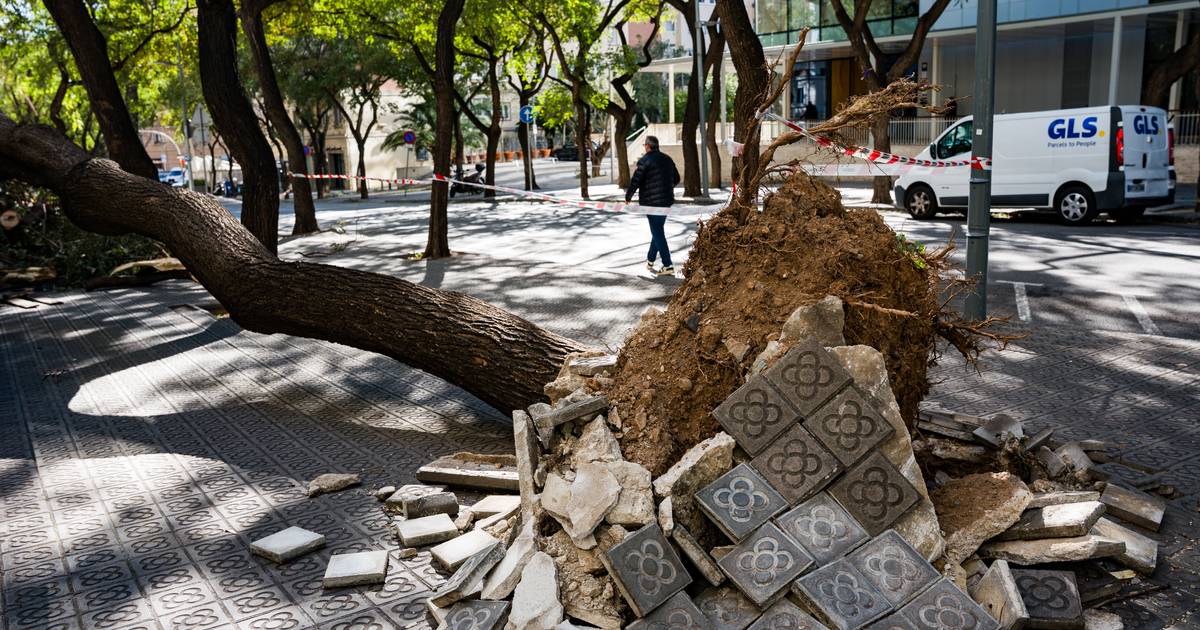 Episódio de "vento excecional" faz mais de 80 feridos e condiciona transportes na Catalunha