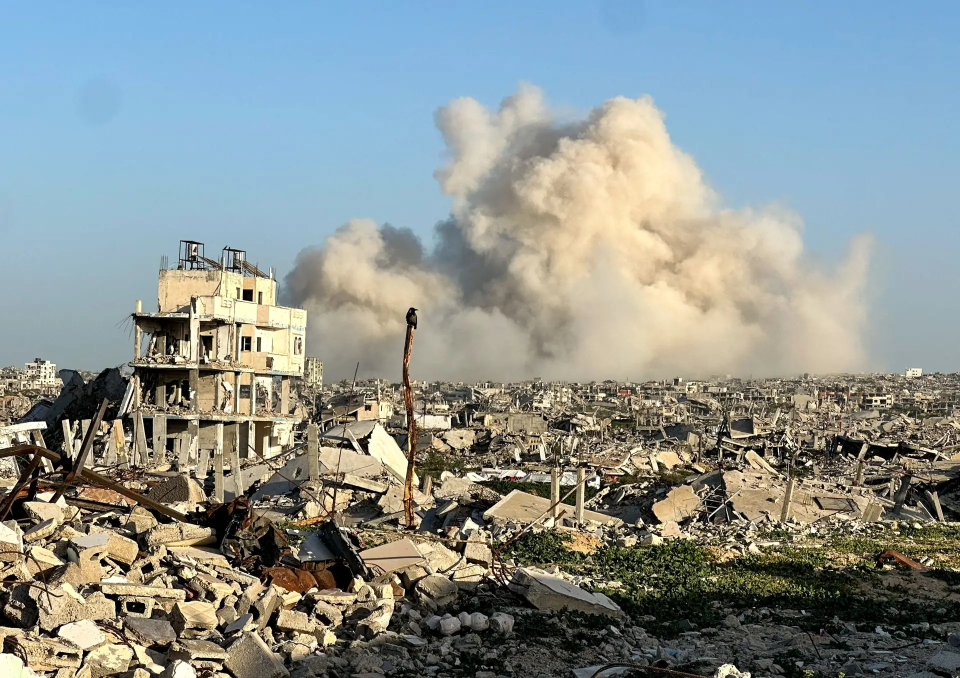 Israel mata menino palestiniano de 12 anos: “Terrorista que cruzou a linha amarela”