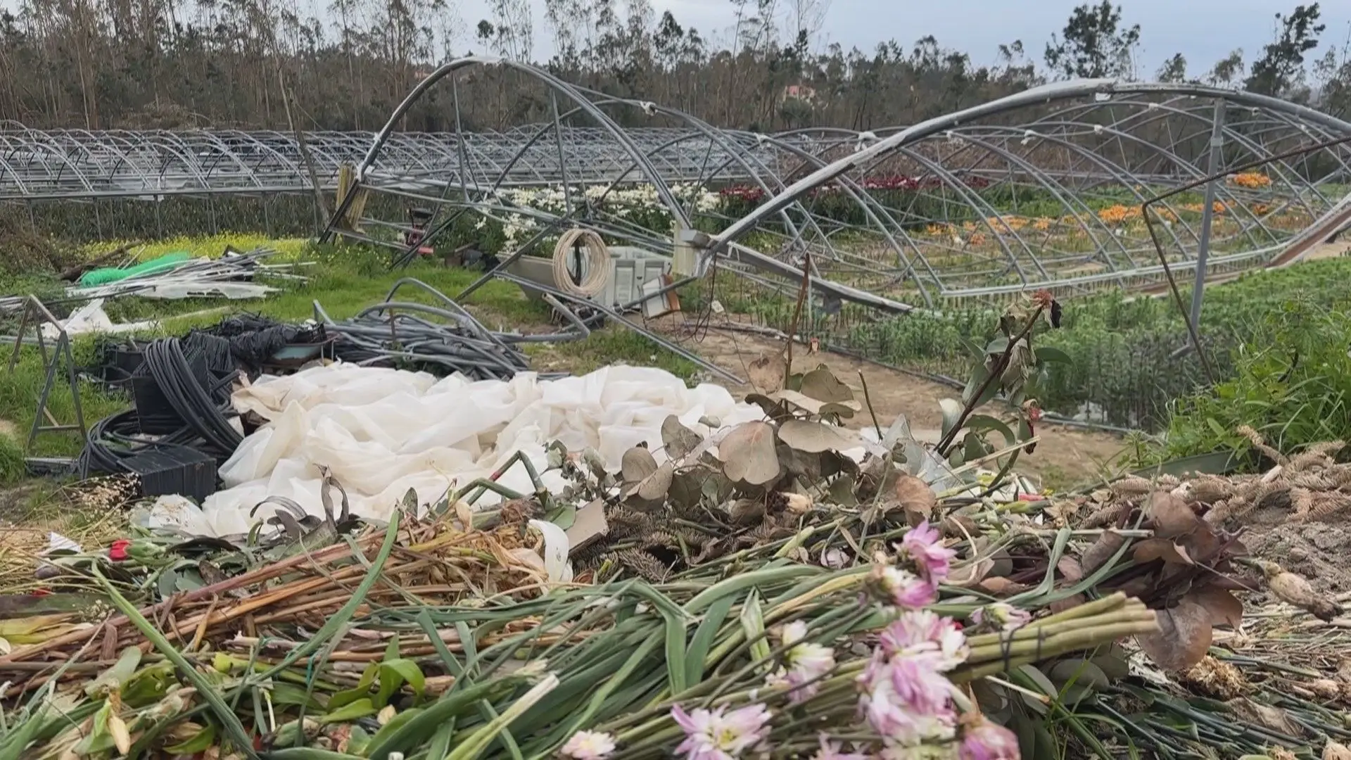 Depois das tempestades, seguradores pagaram menos de 50% do valor das indemnizações