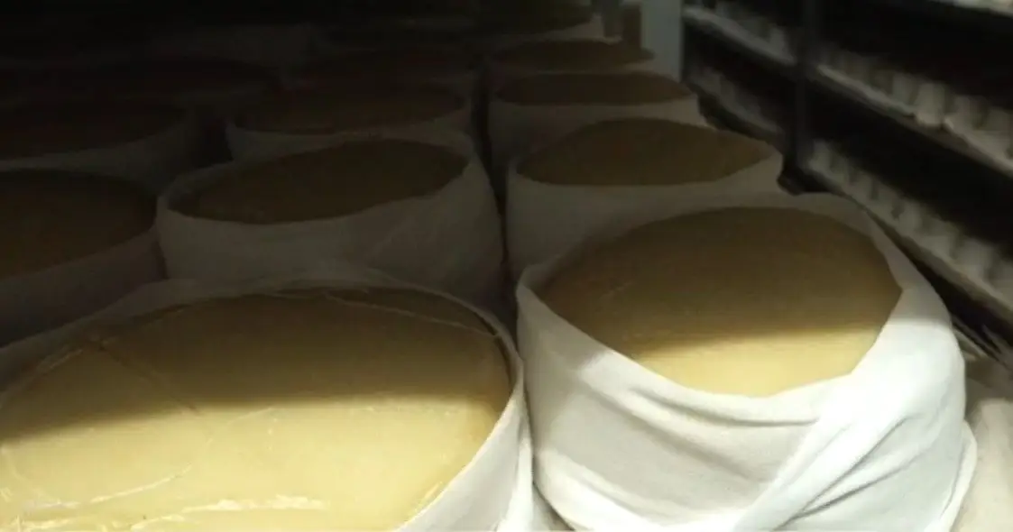 Um roteiro em Seia para celebrar o Queijo da Serra