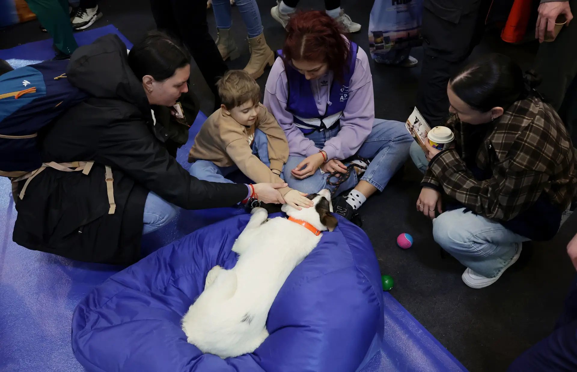 Pet Expo atrai milhares de pessoas e companheiros de quatro patas vestidos a rigor