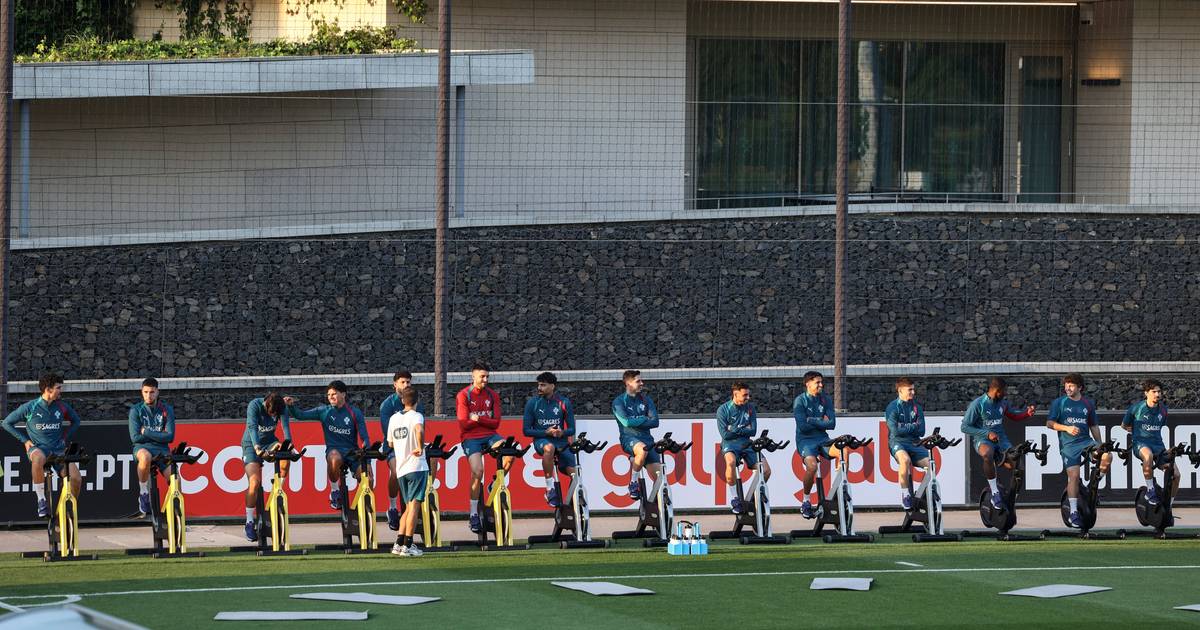 Diogo Costa vai mesmo falhar jogos particulares da Seleção Nacional