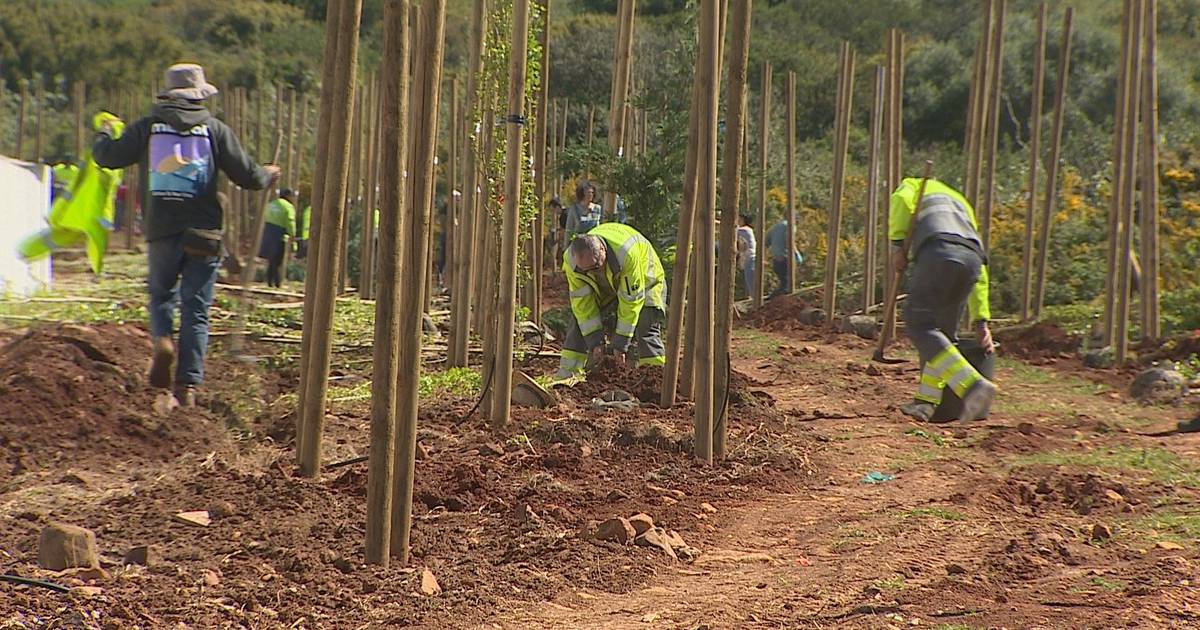 Isaltino prometeu e avançou (mesmo) com 