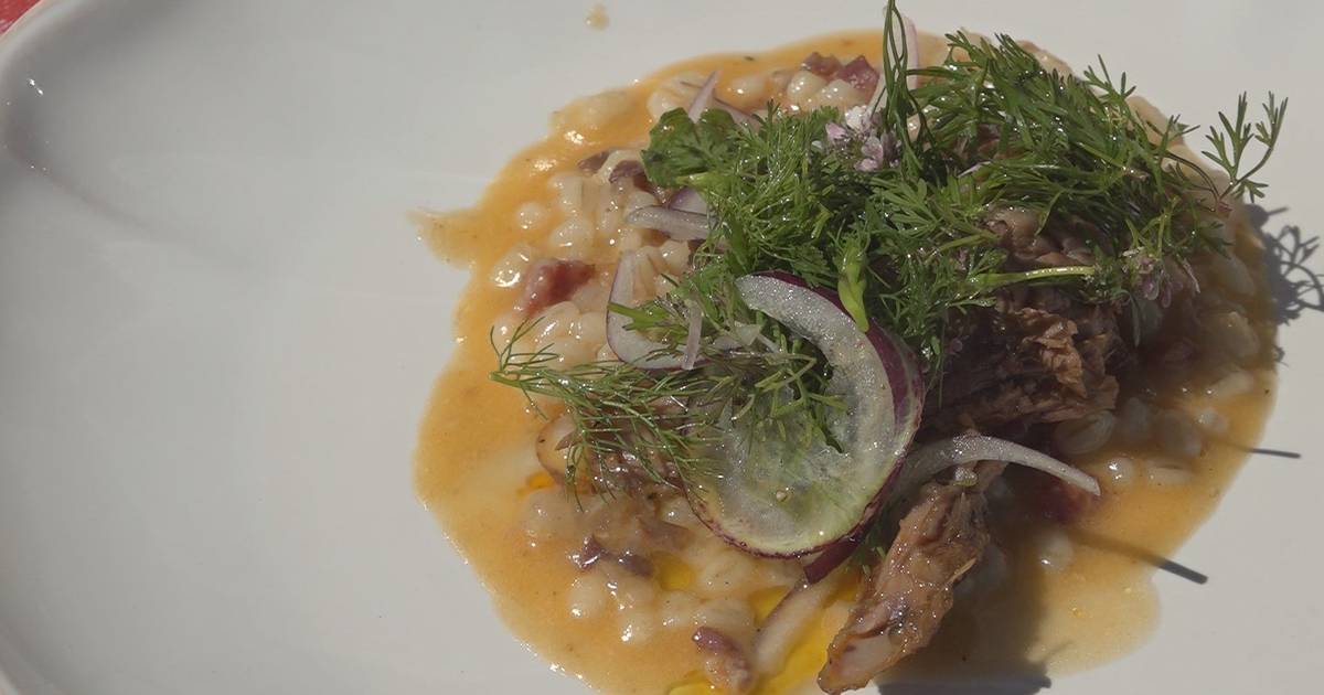 Food Love Fest celebra gastronomia alentejana em Monforte