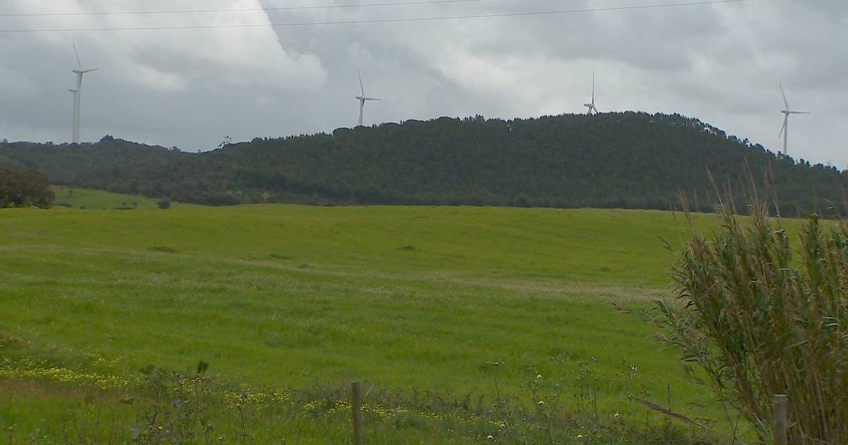 Lançada petição para tentar ​impedir construção do Parque Eólico das Cachenas