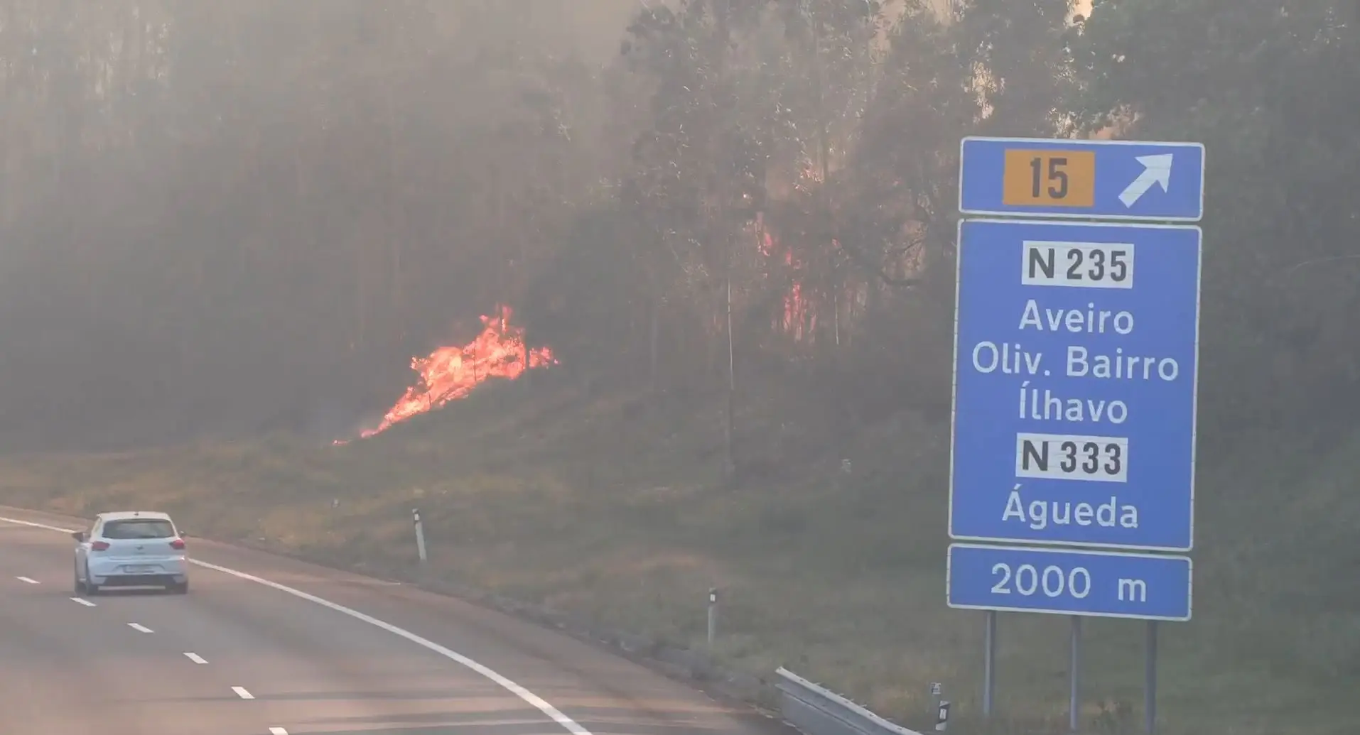 Incêndio na zona de Aveiro obriga ao corte da A1