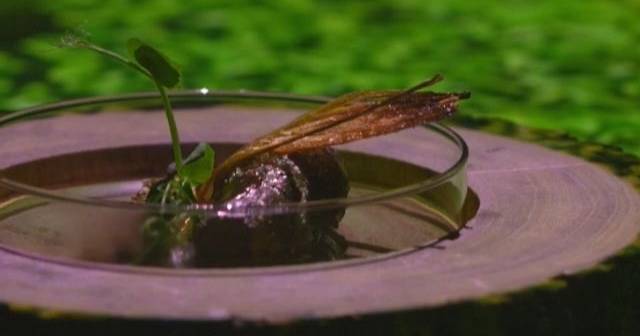 Experiência multissensorial transforma jantar em viagem pelos sentidos