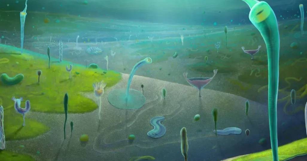 Evolução animal pode ter começado milhões de anos antes do que se pensava