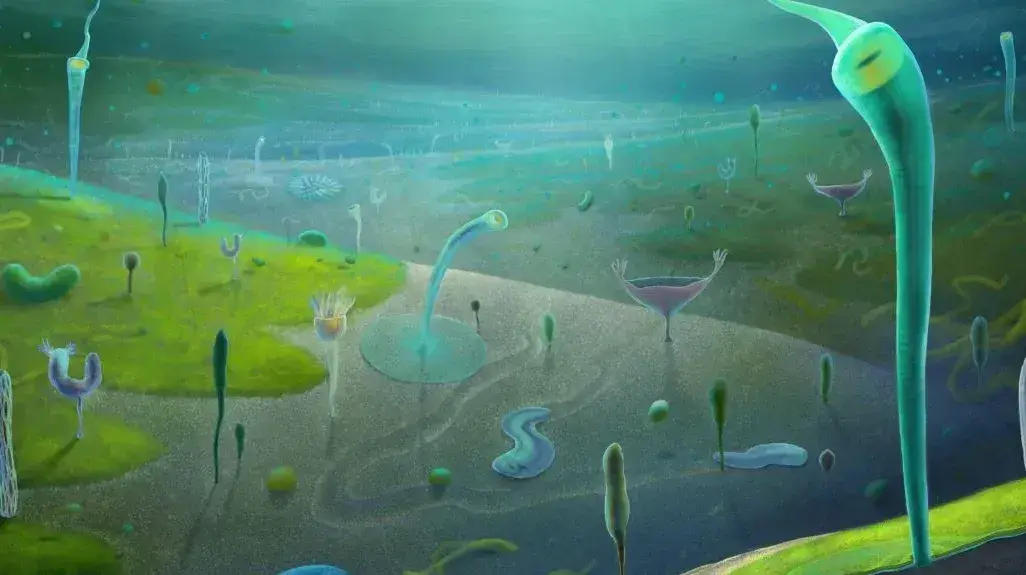 Ilustração do ambiente dos fósseis há cerca de 539 milhões a 554 milhões de anos.