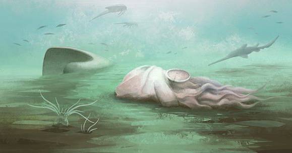 Fóssil histórico reclassificado: polvo considerado o mais antigo afinal não pertence à espécie