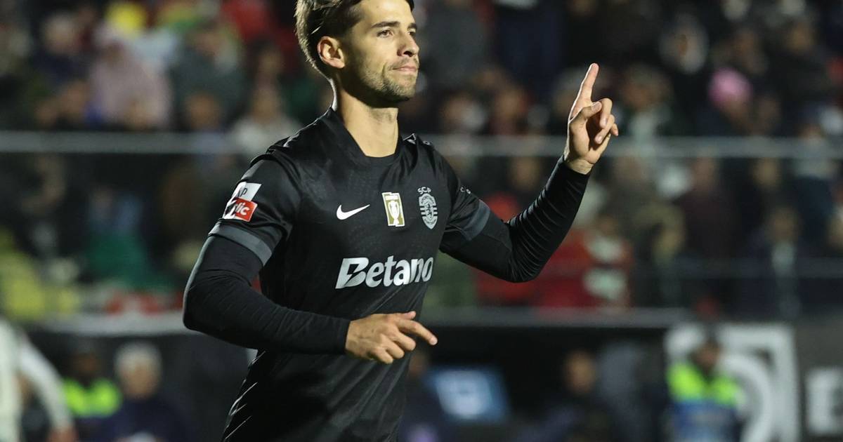 Um jogo de felinos: leões vencem Estrela da Amadora em partida invadida... por gato