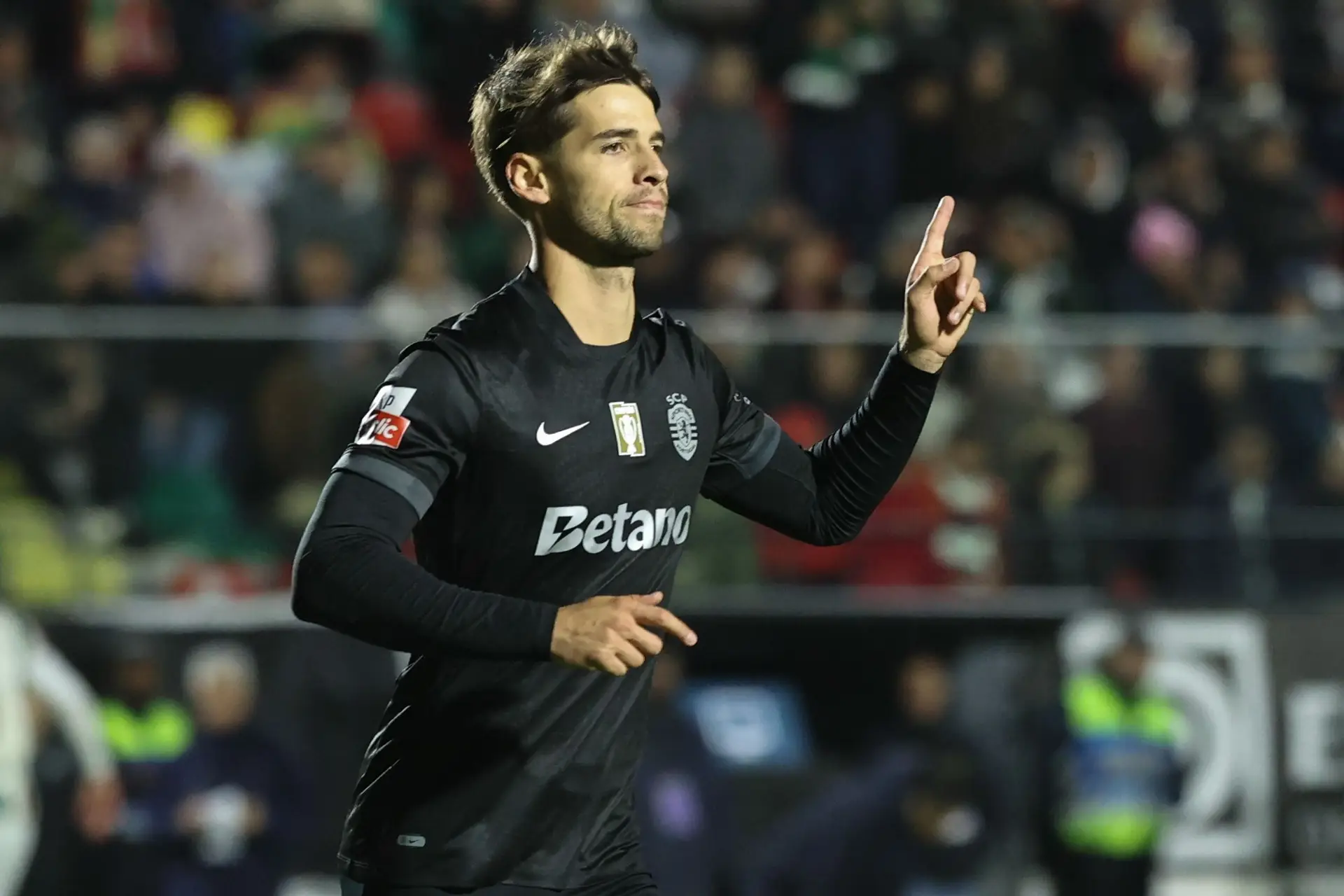 Um jogo de felinos: leões vencem Estrela da Amadora em partida invadida... por gato