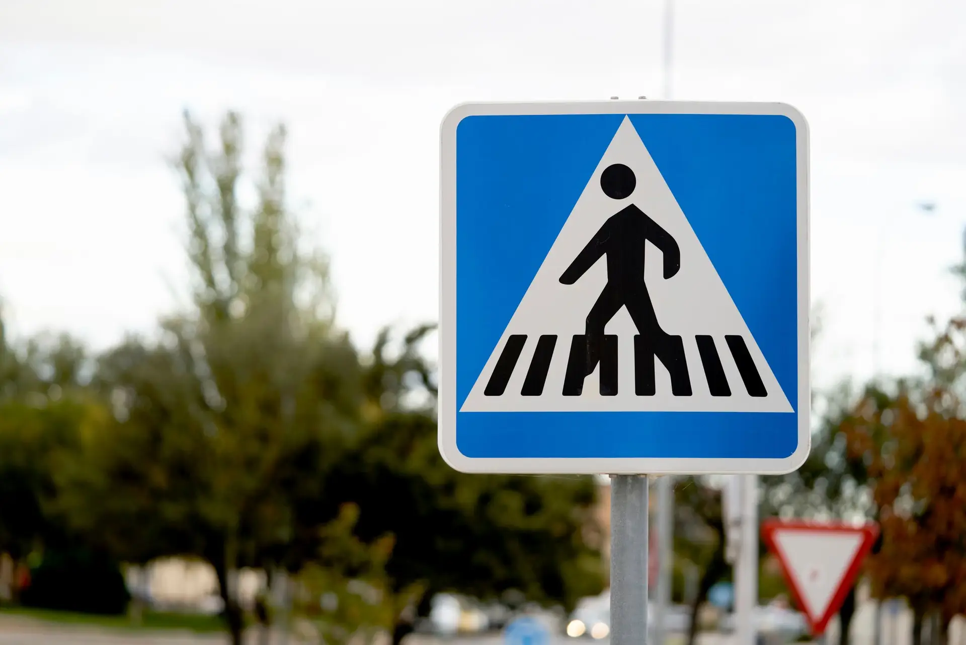 Autoridades lançam na terça-feira campanha sobre segurança de peões, ciclistas e trotinetas