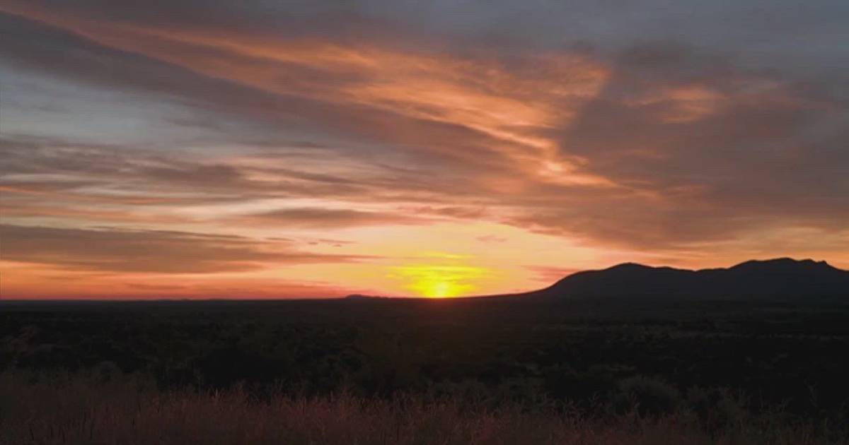 Missão arriscada e exigente: veterinários transferem girafas para área protegida na Namíbia