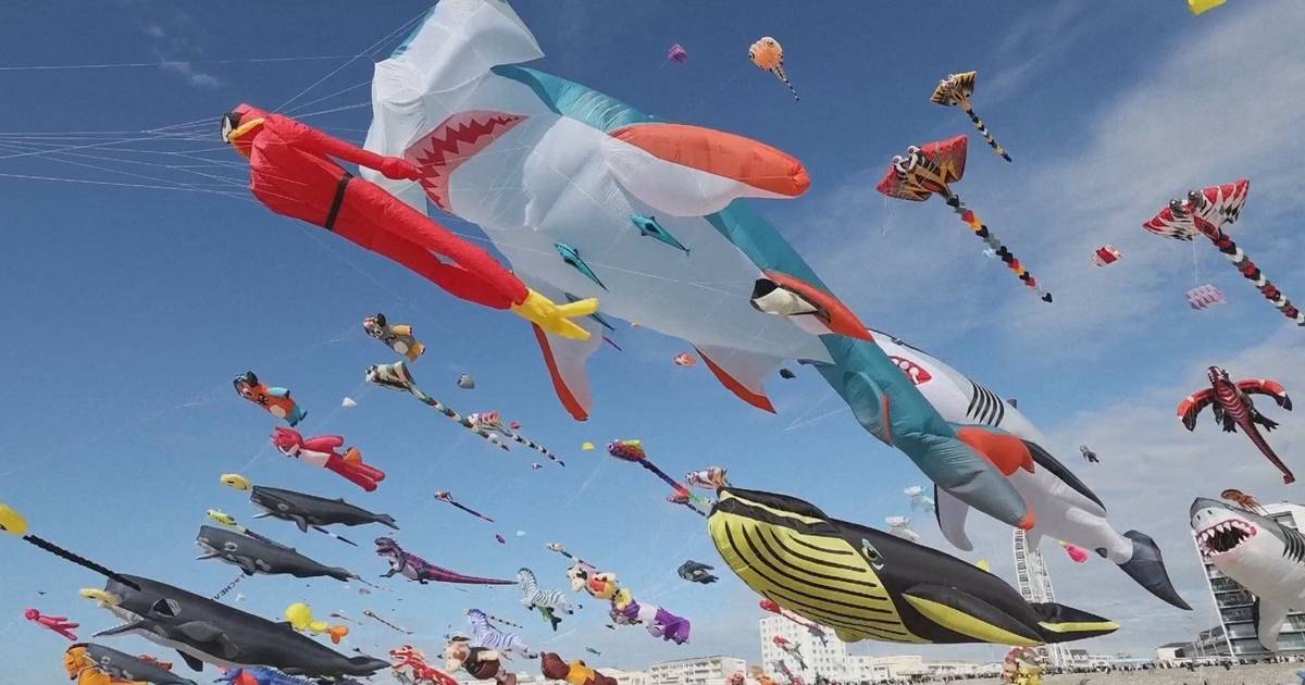 Festival de papagaios de papel atrai participantes de todos os cantos do mundo