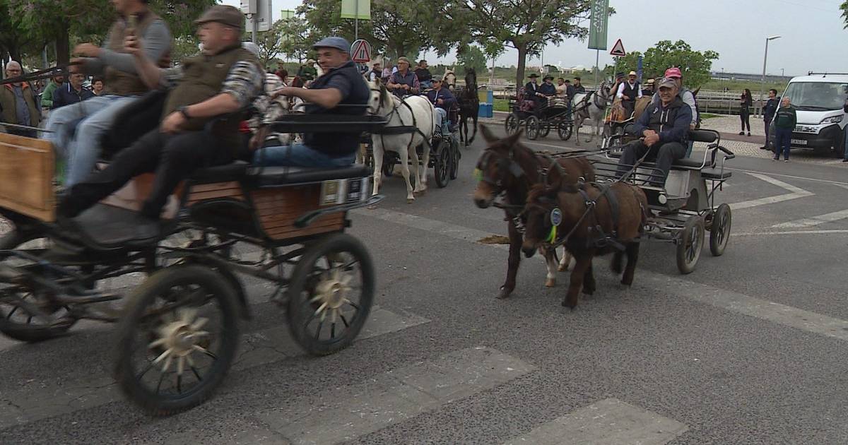 Começou a tradicional Romaria a cavalo entre a Moita e Viana do Alentejo