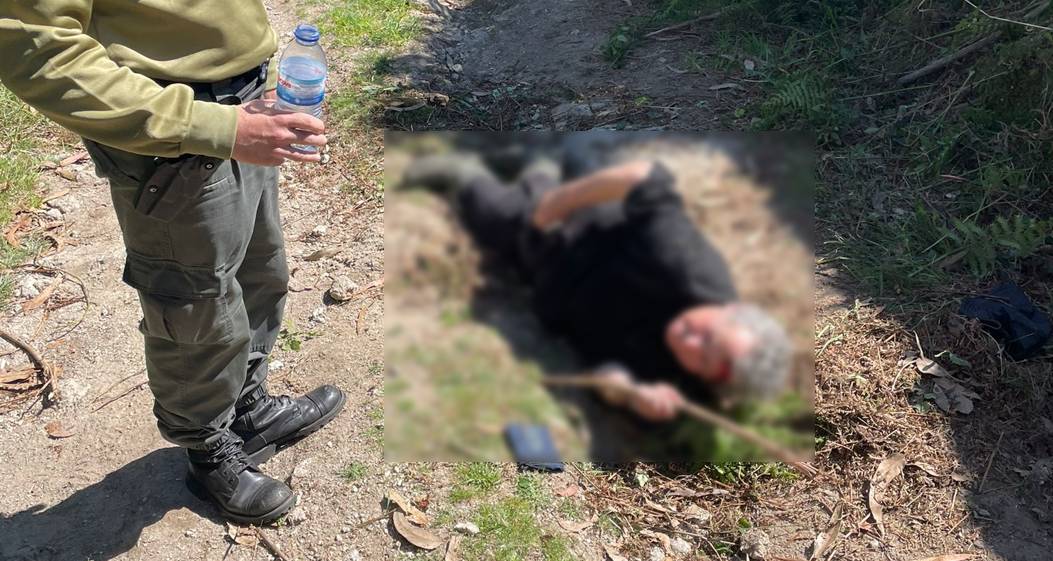 GNR encontra idosa que caiu em zona florestal de difícil acesso