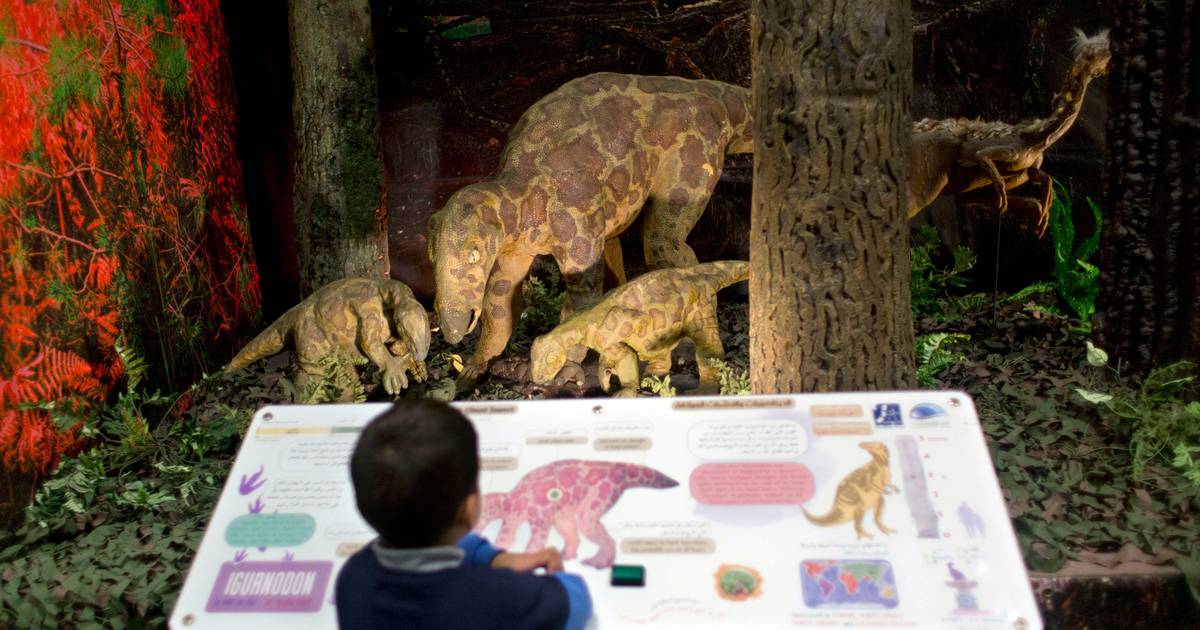Dinossauros Iguanodon podem ser 16 milhões de anos mais antigos do que se pensava