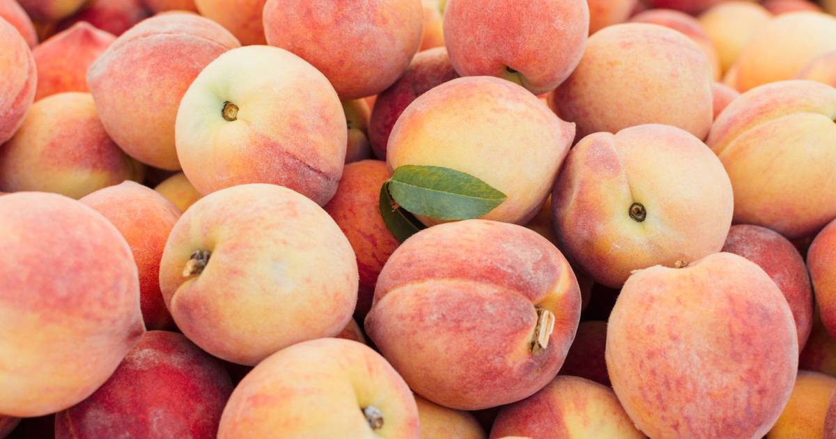 Alergia cruzada: quando o corpo humano confunde pólen e frutas de verão