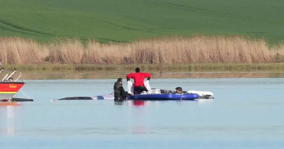 Nova tentativa de resgate: operação de alto risco tenta salvar baleia "Timmy" presa há semanas no Báltico