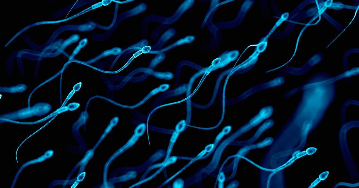 Estudo alerta que toxinas e alterações climáticas agravam crise global de fertilidade