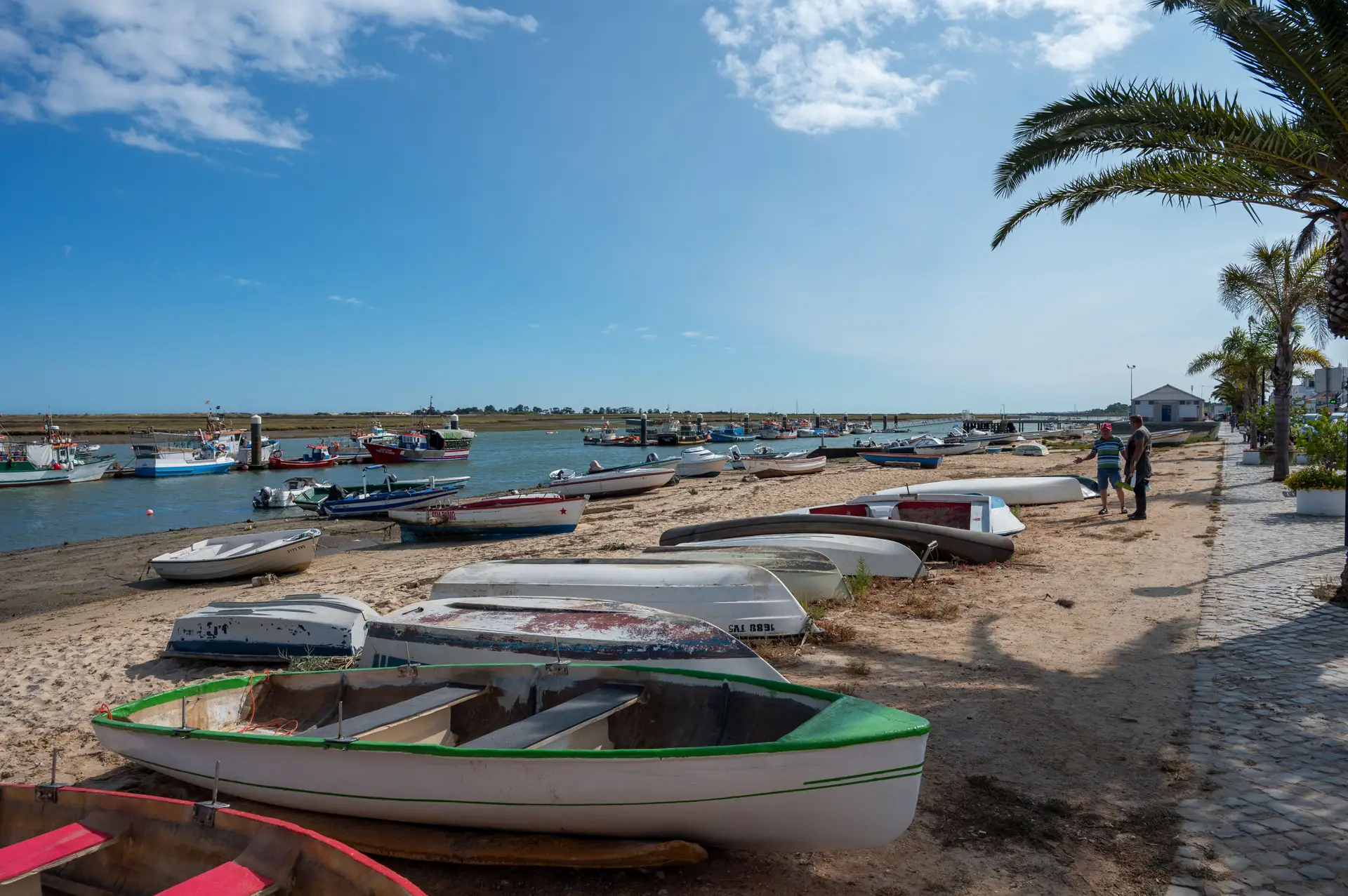 Faro: o que precisa saber — image 3