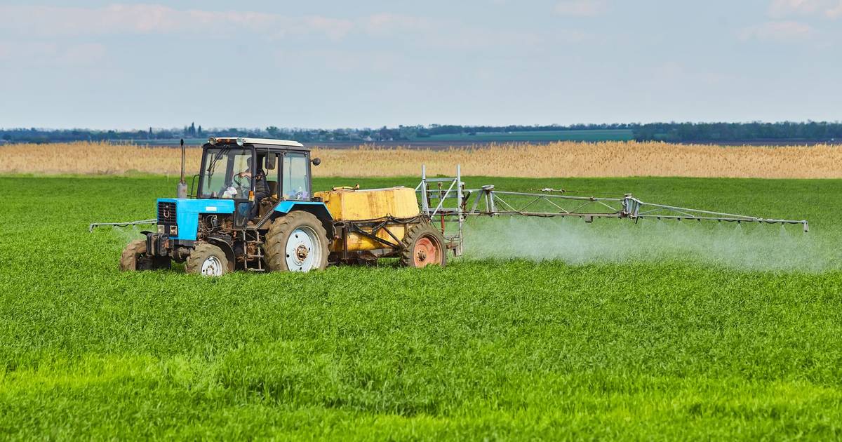 Meio século de transformação: como a agricultura portuguesa mudou desde 1974