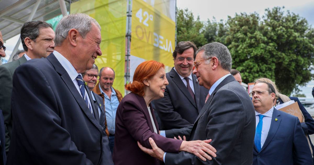 Presidente Seguro enaltece 