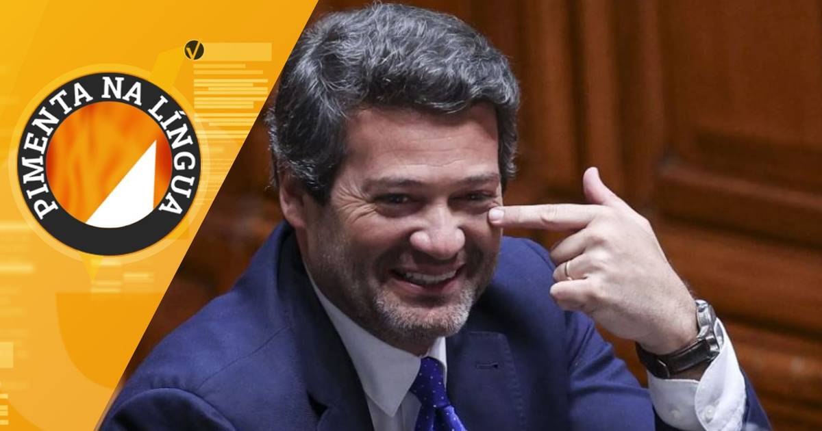 Amesterdão proibiu publicidade a carne no espaço público para não ofender muçulmanos? A SIC Verifica