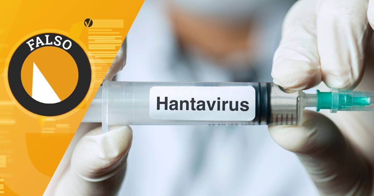 Hantavírus é um vírus novo e desconhecido? A SIC Verifica